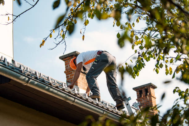 Best Roof Leak Repair  in Magna, UT