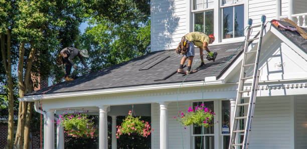 Best Roof Gutter Cleaning  in Magna, UT